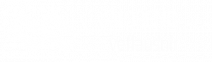 moreno-veflausnir-logo3